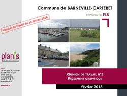 Commune de BARNEVILLE-CARTERET - février 2018 RÉUNION DE TRAVAIL N 2 RÈGLEMENT GRAPHIQUE - Mairie de Barneville-Carteret