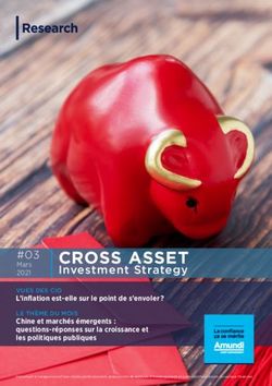 CROSS ASSET Investment Strategy - Amundi Research center