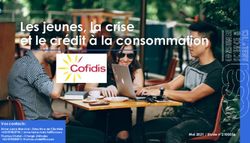 Les jeunes, la crise et le cr&eacute;dit &agrave; la consommation - CSA