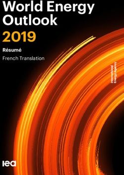 World Energy Outlook 2019 - R&eacute;sum&eacute; French Translation