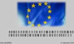 LE FONCTIONNEMENT DU CONSEIL DE L'EUROPE ET DE L'UNION EUROP&Eacute;ENNE - Amy LECLERCQ