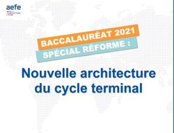 Nouvelle architecture du cycle terminal