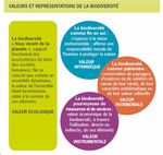 Cadre conceptuel - Balises - Minist&egrave;re de la Transition &eacute;cologique et ...