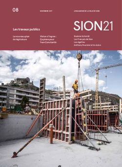 Les travaux publics - Ville de Sion