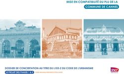 MISE EN COMPATIBILITÉ DU PLU DE LA COMMUNE DE CANNES - DOSSIER DE CONCERTATION AU TITRE DU L103-2 DU CODE DE L'URBANISME
