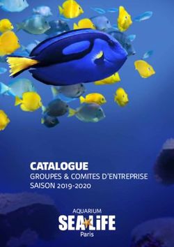 CATALOGUE GROUPES & COMITES D'ENTREPRISE SAISON 2019-2020 - AQUARIUM - Sea Life