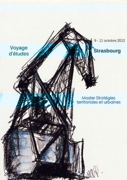 Voyage d'études Strasbourg 9 - 11 octobre 2012 - Sciences Po