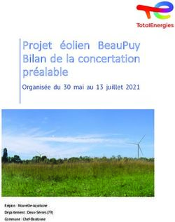 Projet &eacute;olien BeauPuy Bilan de la concertation pr&eacute;alable - Organis&eacute;e du 30 mai au 13 juillet 2021