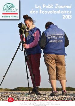 Le Petit Journal des Écovolontaires 2013