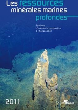 Synthèse d'une étude prospective à l'horizon 2030 - Mineralinfo