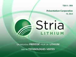 ISSU DE TECHNOLOGIES VERTES - Pr&eacute;sentation Corporative T4, 2014 - Stria Lithium