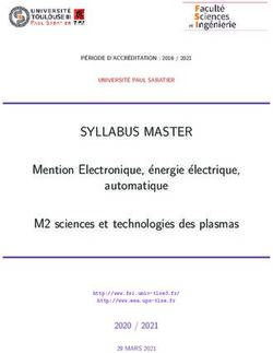 SYLLABUS MASTER Mention Electronique, energie electrique, automatique M2 sciences et technologies des plasmas 2020 / 2021