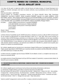 COMPTE RENDU DU CONSEIL MUNICIPAL DU 23 JUILLET 2019