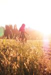 Votre guide d'utilisation du RAGWITEK pour le traitement des allergies li&eacute;es au pollen de l'herbe &agrave; poux - IMPORTANT : Consulter la page 6 pour ...