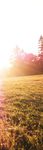 Votre guide d'utilisation du RAGWITEK pour le traitement des allergies li&eacute;es au pollen de l'herbe &agrave; poux - IMPORTANT : Consulter la page 6 pour ...