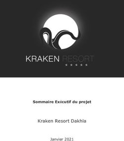 Kraken Resort Dakhla Sommaire Ex&eacute;cutif du projet - Janvier 2021
