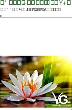 GE - URBAN VEGAN GEN&Egrave;VE RAPPORT D'ACTIVIT&Eacute;S 2018 - Urban Vegan Gen&egrave;ve