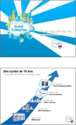 Olivier Nguyen Van Tan salesforce.com