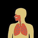 Partie du diagnostic et traitement - COVID-19 pr&eacute;vention et le contr&ocirc;le des - Compil&eacute; par le Centre chinois de contr&ocirc;le et de pr&eacute;vention des maladies