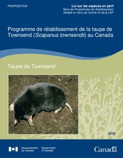 Programme de rétablissement de la taupe de Townsend (Scapanus townsendii) au Canada Taupe de Townsend - Loi sur les espèces en péril - Species at ...
