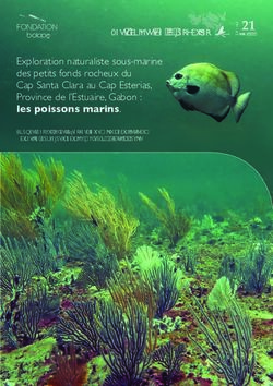 Exploration naturaliste sous-marine des petits fonds rocheux du Cap Santa Clara au Cap Esterias, Province de l'Estuaire, Gabon : les poissons ...