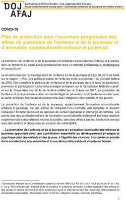 Plan de protection pour l'ouverture progressive des offres de promotion de l'enfance et de la jeunesse et d'animation socioculturelle enfance et ...