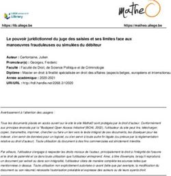 Le pouvoir juridictionnel du juge des saisies et ses limites face aux manoeuvres frauduleuses ou simul&eacute;es du d&eacute;biteur