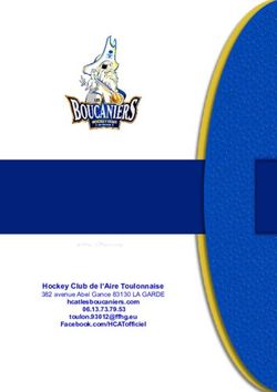 Hockey Club de l'Aire Toulonnaise - 382 avenue Abel Gance 83130 LA GARDE hcatlesboucaniers.com - Hockey Club de l'Aire Toulonnaise