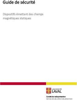 Guide de s&eacute;curit&eacute; Dispositifs &eacute;mettant des champs magn&eacute;tiques statiques