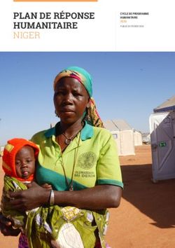 PLAN DE RÉPONSE HUMANITAIRE NIGER - CYCLE DE PROGRAMME HUMANITAIRE 2020 - Humanitarian Response