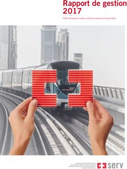 Rapport de gestion 2017 - SERV