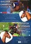 HORS-S&Eacute;RIE ETALONS ANGLO-ARABES - L'ANAA vous pr&eacute;sente une s&eacute;lection d'&eacute;talons Anglo-arabes, et d'&eacute;talons Arabes, Shagya, Selles Fran&ccedil;ais et ...