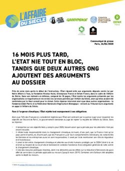 16 MOIS PLUS TARD, L'ETAT NIE TOUT EN BLOC, TANDIS QUE DEUX AUTRES ONG AJOUTENT DES ARGUMENTS AU DOSSIER
