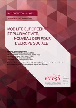 MOBILITE EUROPEENNE ET PLURIACTIVITE, En3s
