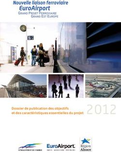 Dossier de publication des objectifs et des caract&eacute;ristiques essentielles du projet - SNCF R&eacute;seau