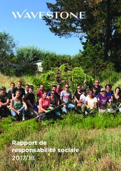 Rapport de responsabilité sociale 2017/18 - Wavestone