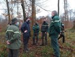 La forêt française en danger ?