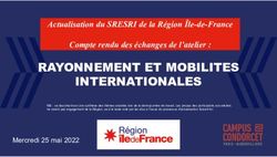 RAYONNEMENT ET MOBILITES INTERNATIONALES - Actualisation du SRESRI de la Région Île-de-France Compte rendu des échanges de l'atelier