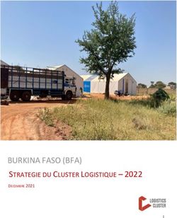 BURKINA FASO (BFA) STRATEGIE DU CLUSTER LOGISTIQUE 2022 - DECEMBRE 2021 - strategie du cluster logistique -2022