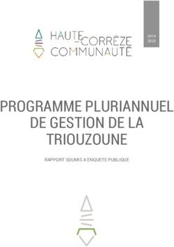 PROGRAMME PLURIANNUEL DE GESTION DE LA TRIOUZOUNE - RAPPORT SOUMIS A ENQUETE PUBLIQUE
