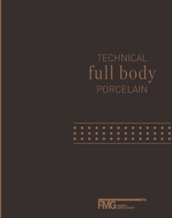 TECHNICAL PORCELAIN - FMG Fabbrica Marmi e Graniti