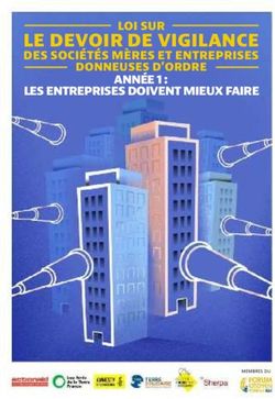 LE DEVOIR DE VIGILANCE - DES SOCIÉTÉS MÈRES ET ENTREPRISES LOI SUR ANNÉE 1 : LES ENTREPRISES DOIVENT MIEUX FAIRE - Association Sherpa