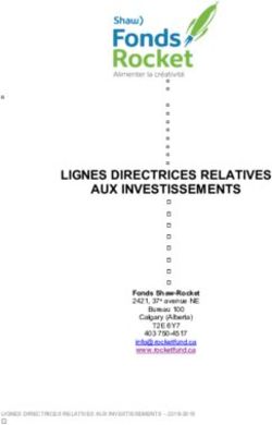LIGNES DIRECTRICES RELATIVES AUX INVESTISSEMENTS - T2E 6Y7 Fonds Shaw-Rocket - Shaw Rocket Fund