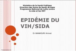 EPID&Eacute;MIE DU VIH/SIDA Minist&egrave;re de la Sant&eacute; Publique Direction des Soins de Sant&eacute; de Base Programme National de Lutte contre le sida et les MST