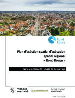 Plan d'exéction spatial d'exécution spatial régional " Rond Ronse " - Note processuelle : phase de démarrage
