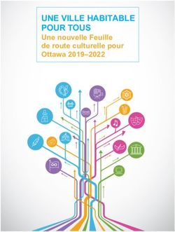 UNE VILLE HABITABLE POUR TOUS - Une nouvelle Feuille de route culturelle pour Ottawa 2019-2022 - Ottawa Cultural Alliance
