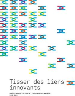 Tisser des liens innovants - PROGRAMME DU COLLÈGE DE LA PROVINCE DU LIMBOURG 2019 2023 - Provincie Limburg