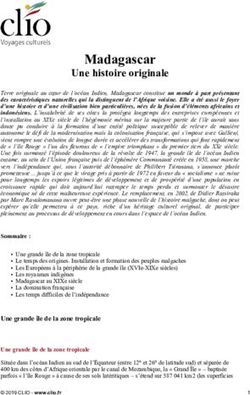 Madagascar Une histoire originale - Clio