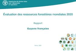 Guyane française Rapport - Rome, 2020