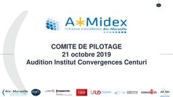 COMITE DE PILOTAGE 21 octobre 2019 Audition Institut Convergences Centuri